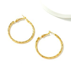 Alloy Hoop Earrings